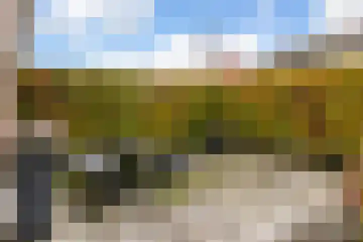 Citroenvlinder 25 Utrecht thumbnail 42