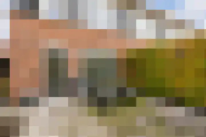 Citroenvlinder 25 Utrecht thumbnail 43