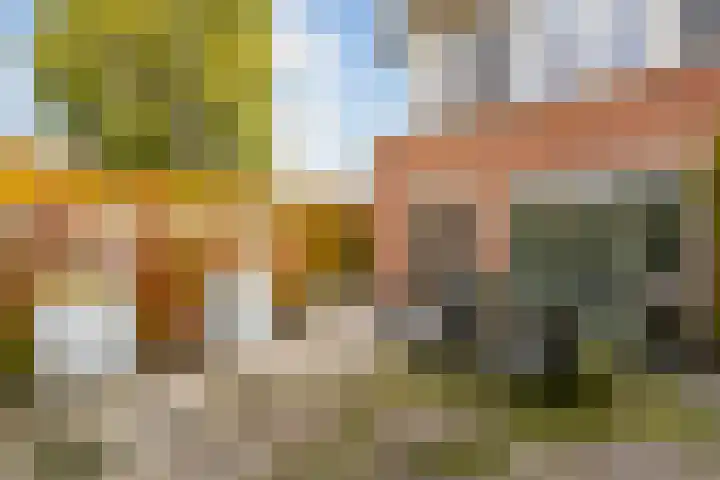 Citroenvlinder 25 Utrecht thumbnail 44