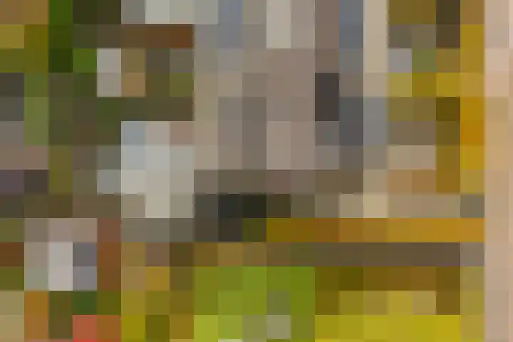 Citroenvlinder 25 Utrecht thumbnail 45