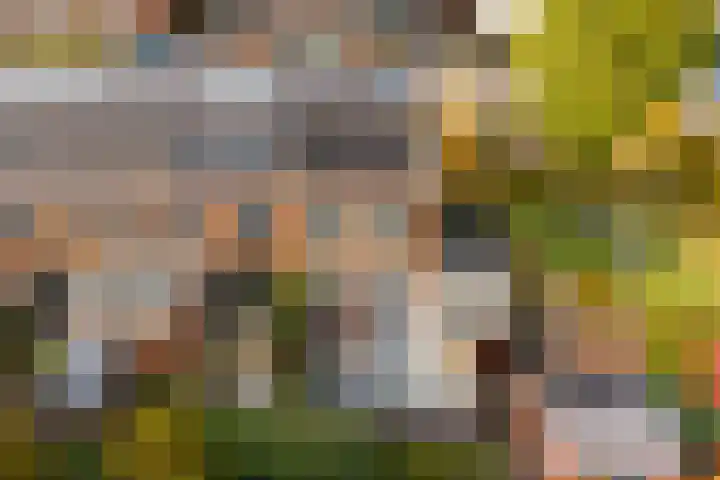 Citroenvlinder 25 Utrecht thumbnail 46