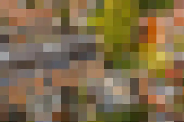 Citroenvlinder 25 Utrecht thumbnail 47