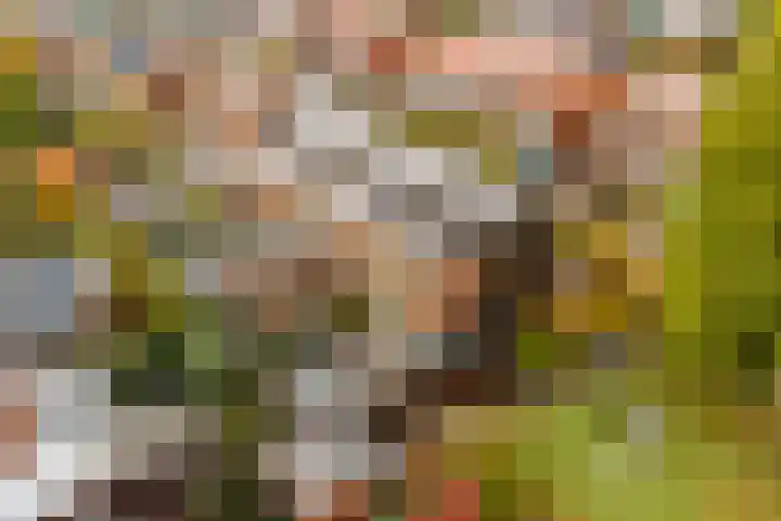 Citroenvlinder 25 Utrecht thumbnail 48