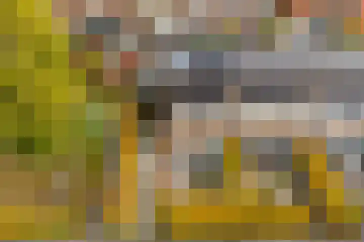 Citroenvlinder 25 Utrecht thumbnail 49
