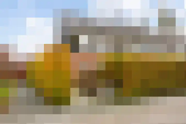 Citroenvlinder 25 Utrecht thumbnail 5