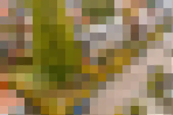 Citroenvlinder 25 Utrecht thumbnail 51