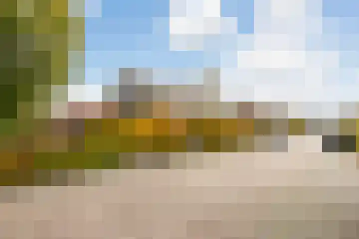 Citroenvlinder 25 Utrecht thumbnail 53