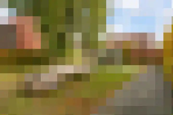 Citroenvlinder 25 Utrecht thumbnail 54