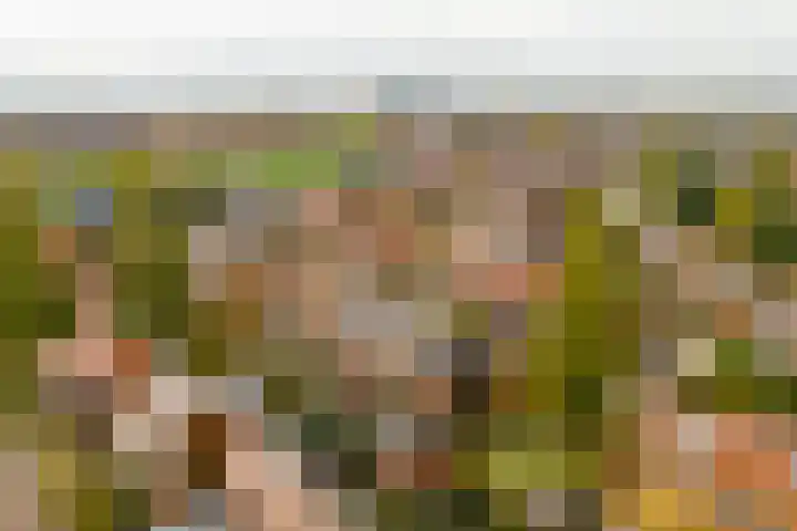 Citroenvlinder 25 Utrecht thumbnail 55