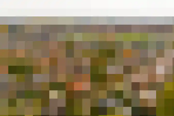 Citroenvlinder 25 Utrecht thumbnail 56