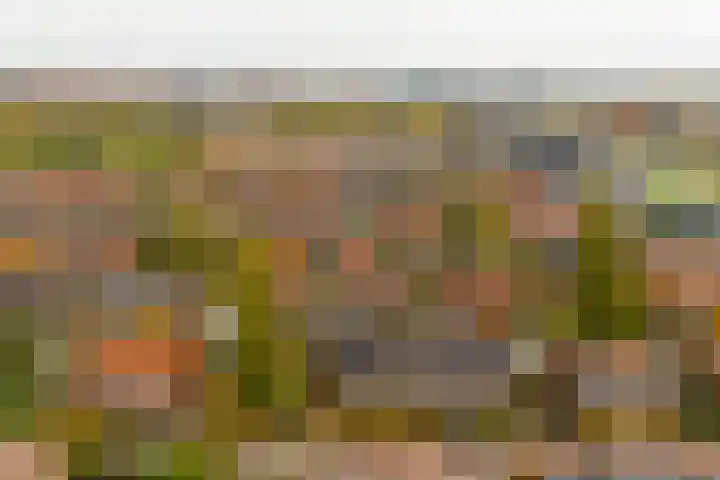 Citroenvlinder 25 Utrecht thumbnail 57