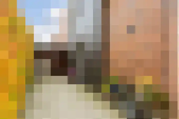 Citroenvlinder 25 Utrecht thumbnail 6