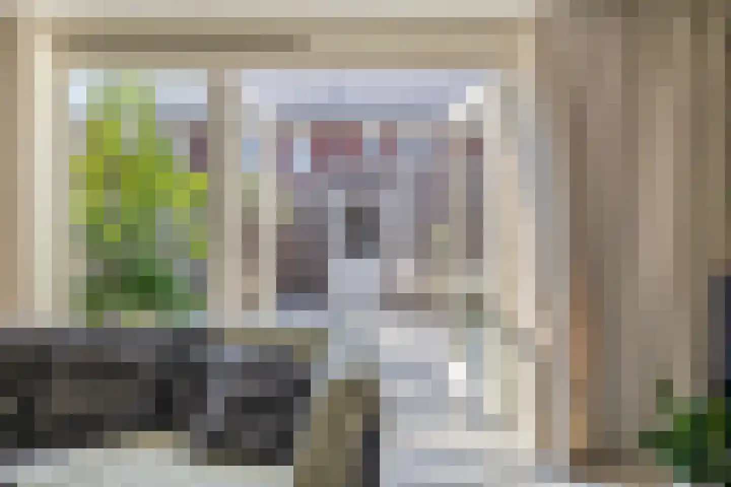 Citroenvlinder 32 's-Gravenzande thumbnail 15