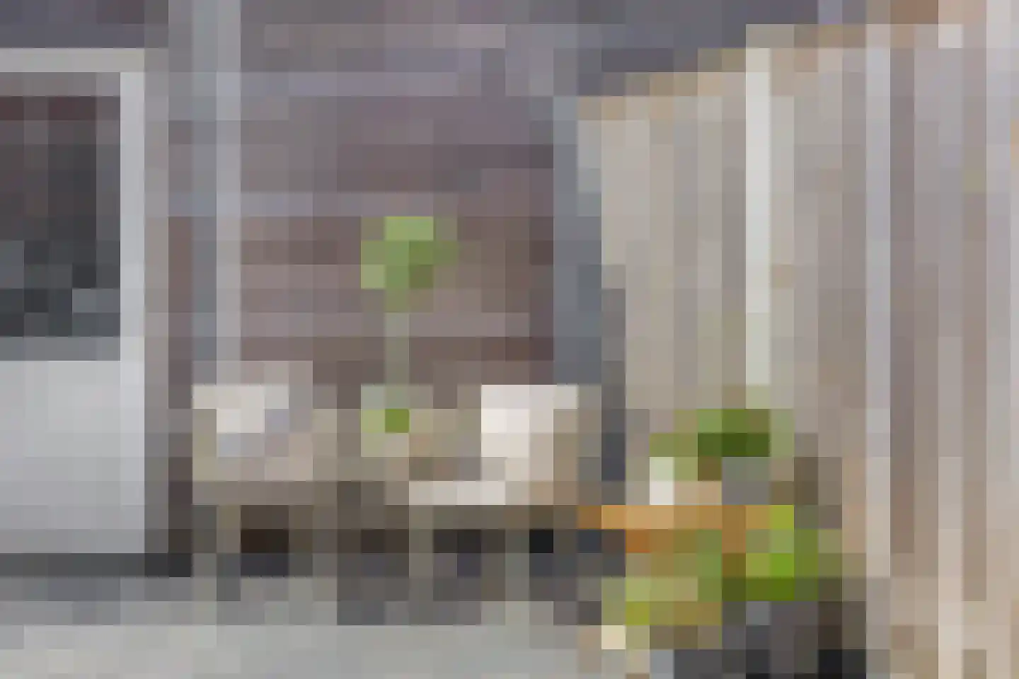 Citroenvlinder 32 's-Gravenzande thumbnail 16