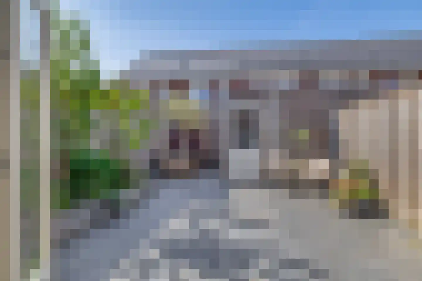 Citroenvlinder 32 's-Gravenzande thumbnail 17