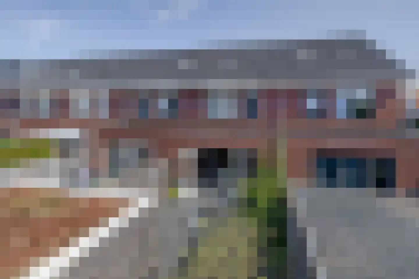 Citroenvlinder 32 's-Gravenzande thumbnail 19