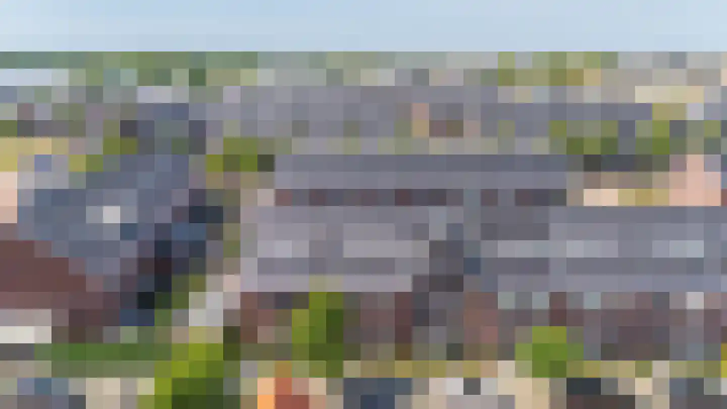 Citroenvlinder 32 's-Gravenzande thumbnail 38