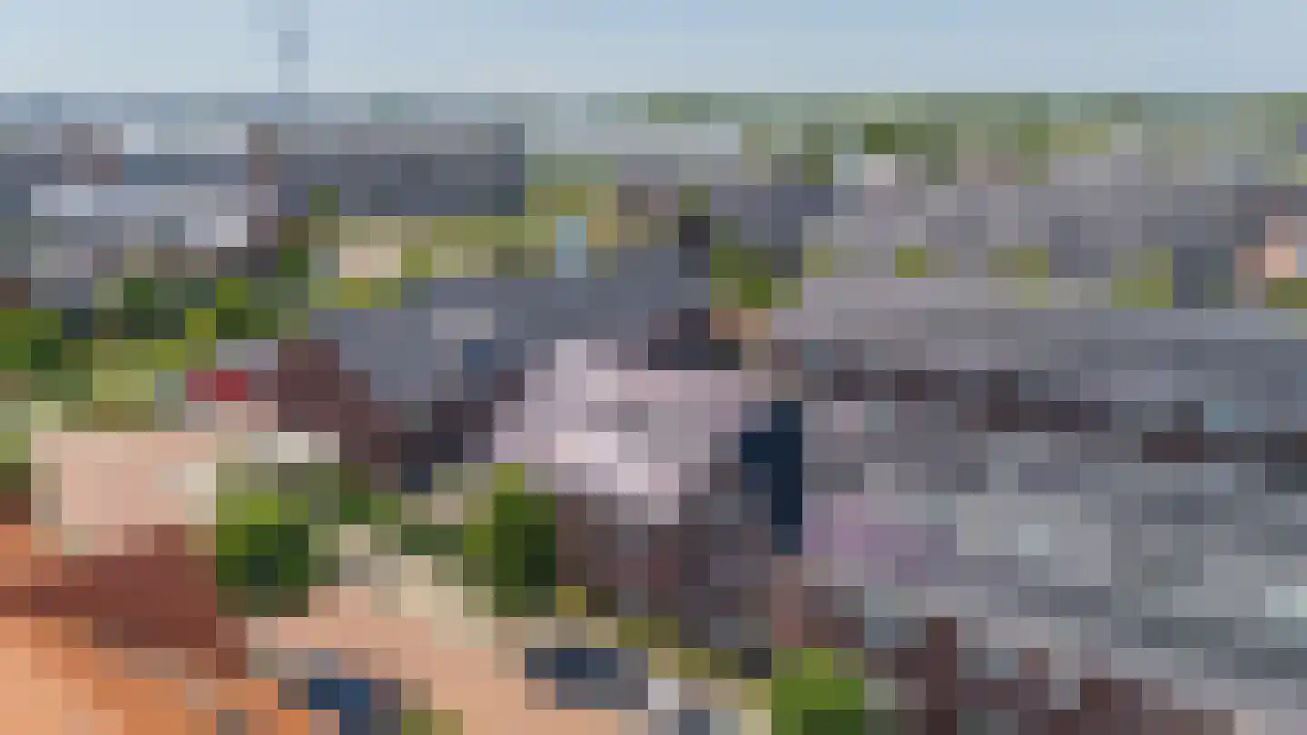 Citroenvlinder 32 's-Gravenzande thumbnail 39