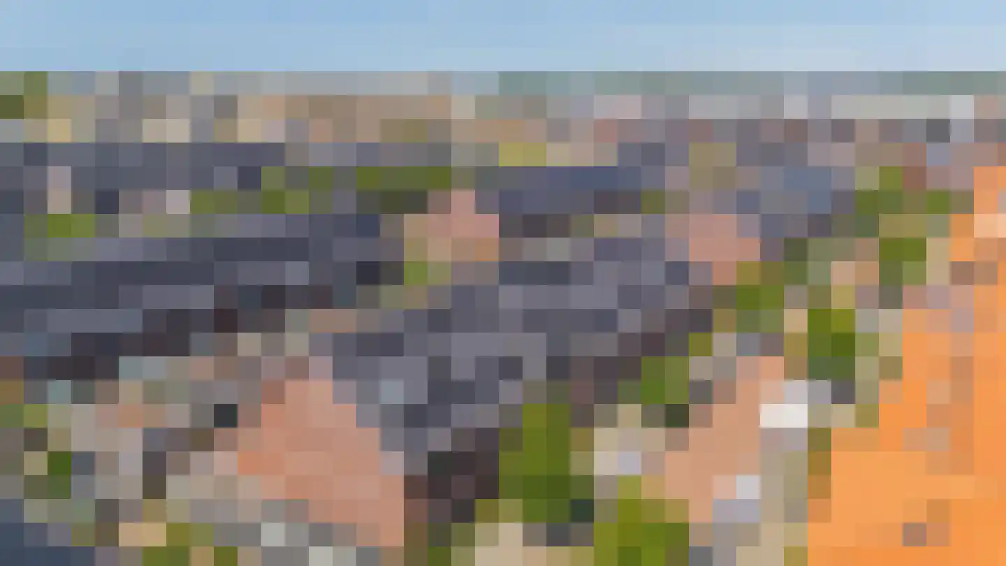 Citroenvlinder 32 's-Gravenzande thumbnail 40
