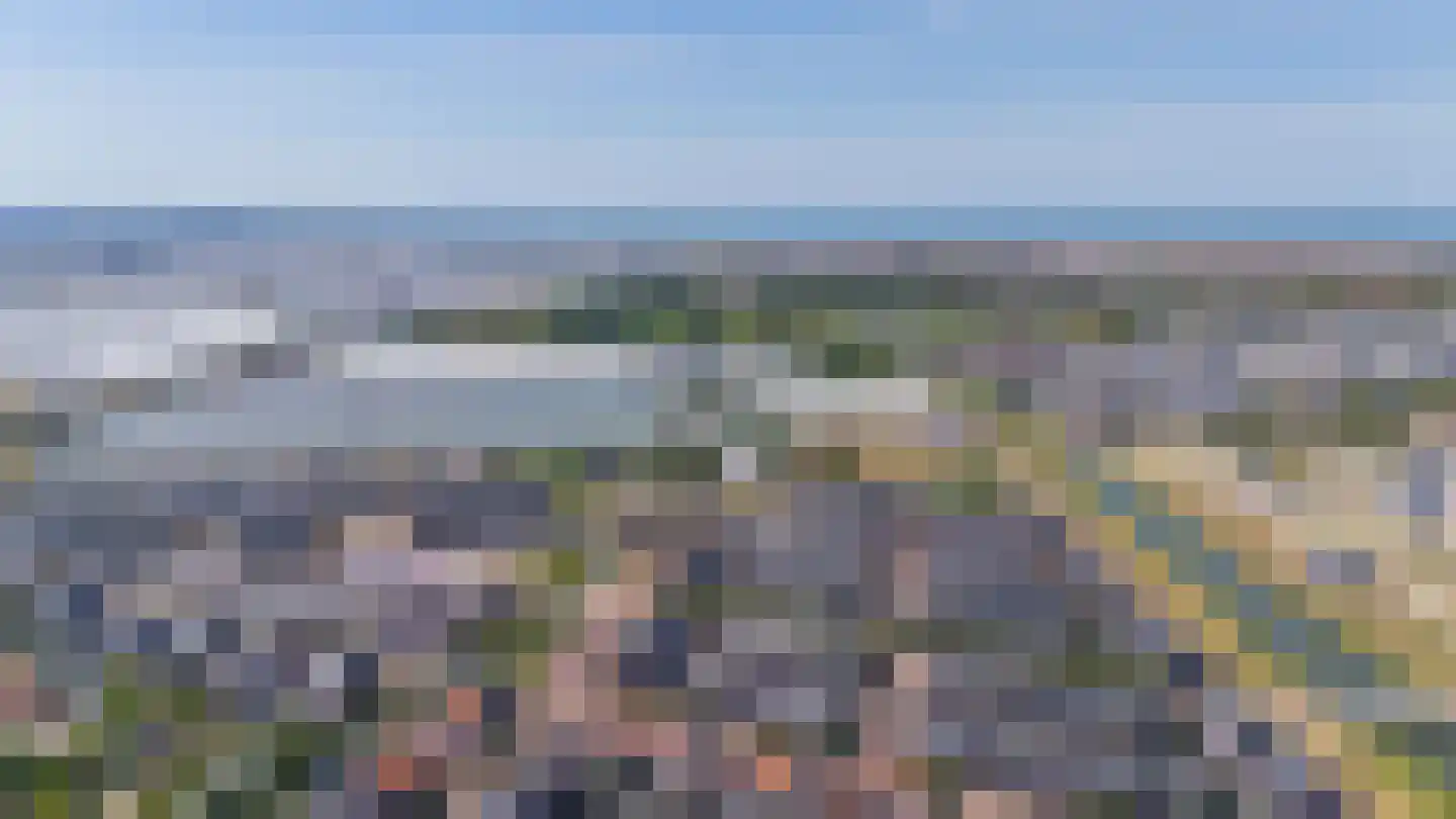 Citroenvlinder 32 's-Gravenzande thumbnail 41