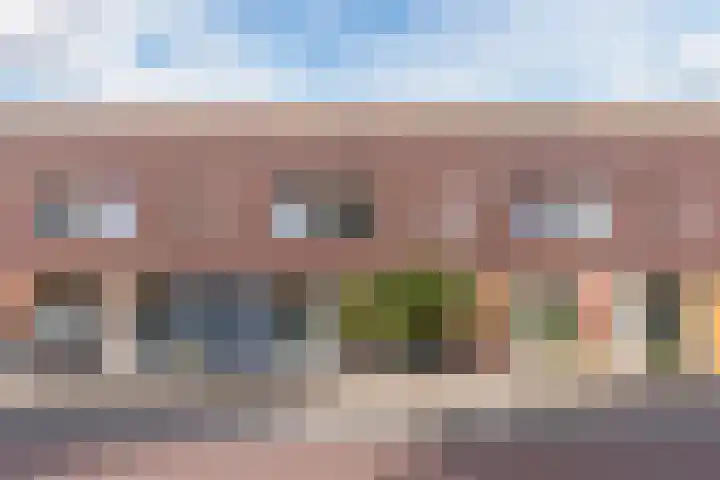 Citroenvlinder 34 in Hoogeveen