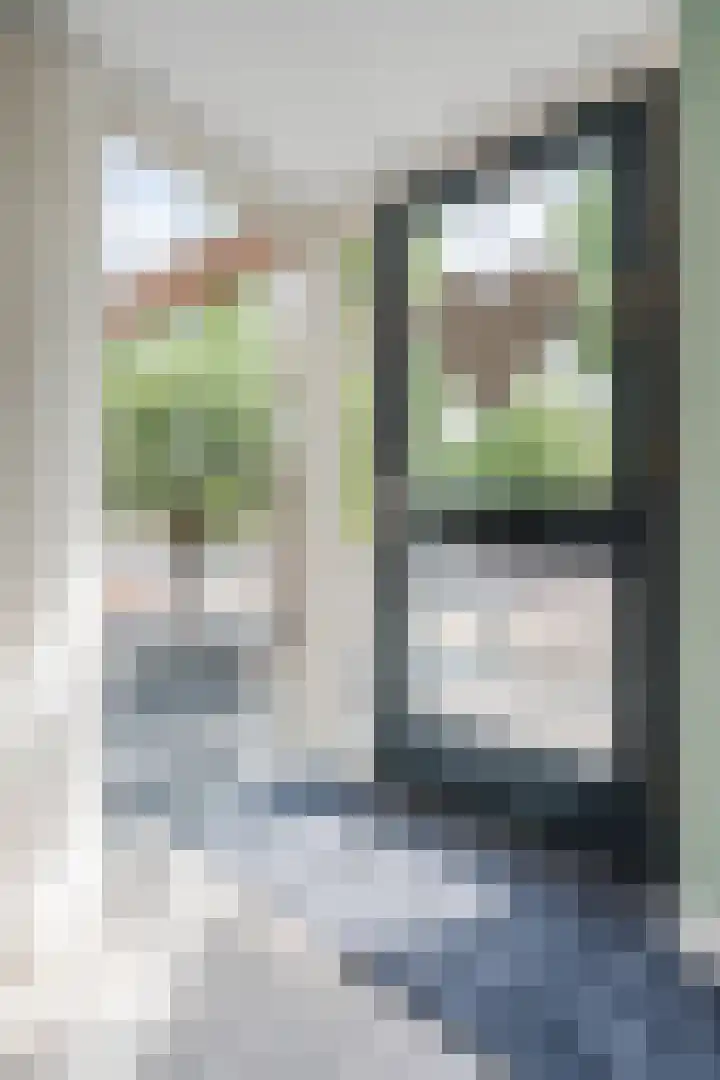 Citroenvlinder 34 Hoogeveen thumbnail 15