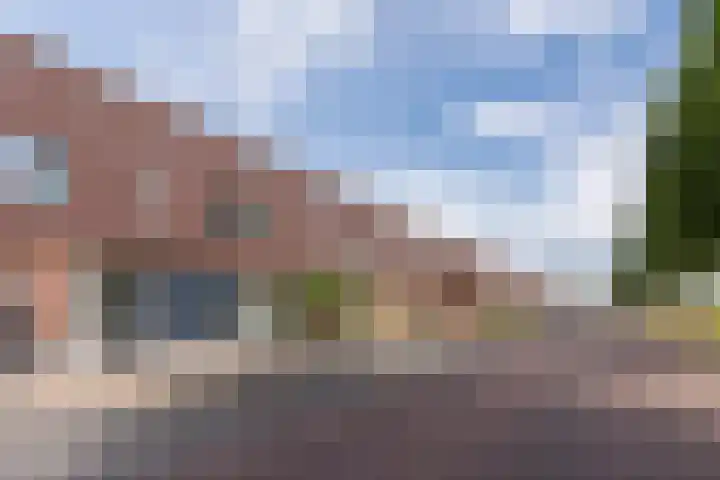 Citroenvlinder 34 Hoogeveen thumbnail 4