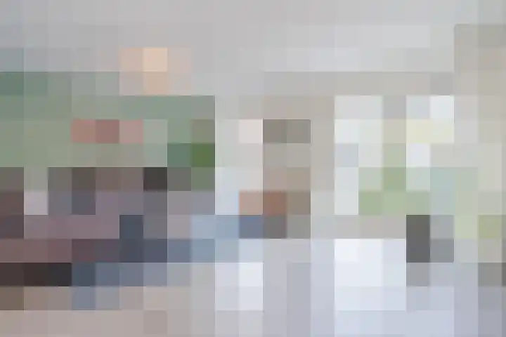 Citroenvlinder 34 Hoogeveen thumbnail 5
