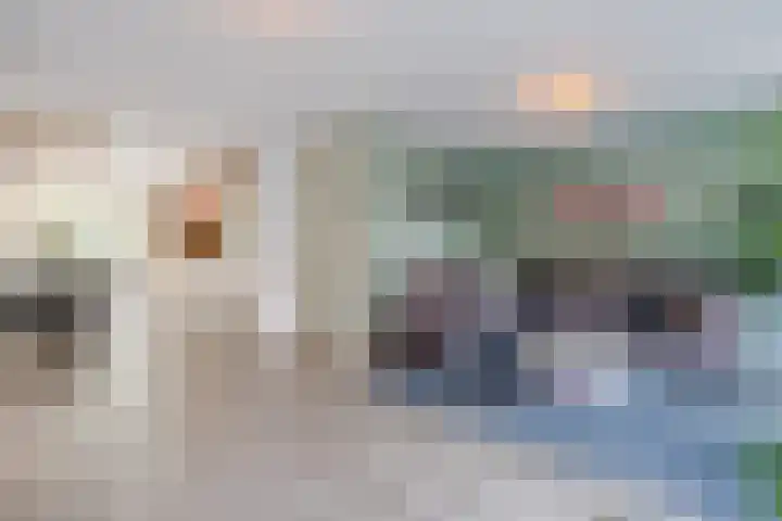 Citroenvlinder 34 Hoogeveen thumbnail 6