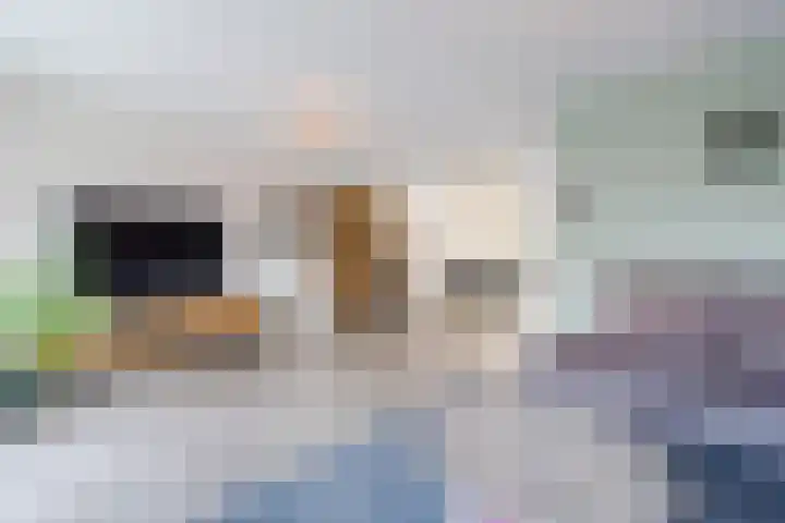 Citroenvlinder 34 Hoogeveen thumbnail 7