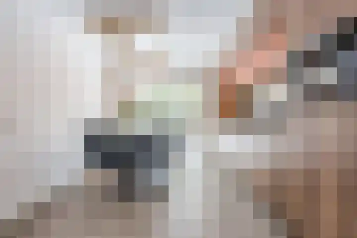 Citroenvlinder 34 Hoogeveen thumbnail 8