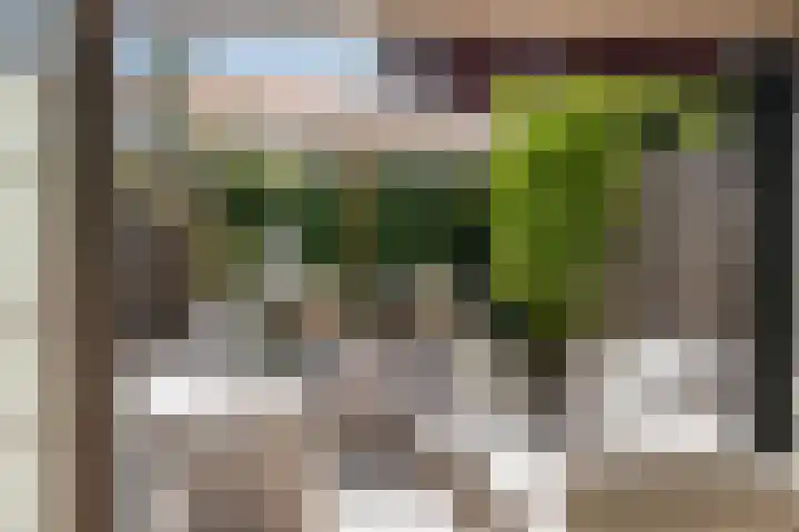 Citroenvlinder 35 's-Gravenzande thumbnail 10