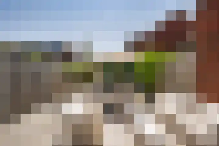 Citroenvlinder 35 's-Gravenzande thumbnail 11