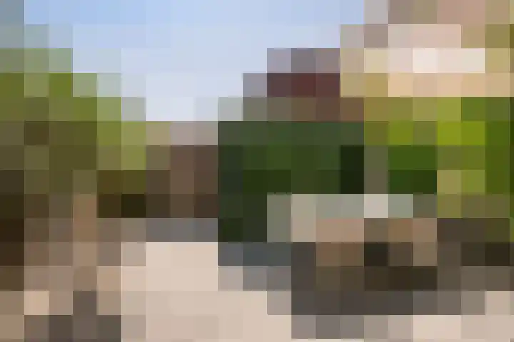 Citroenvlinder 35 's-Gravenzande thumbnail 13