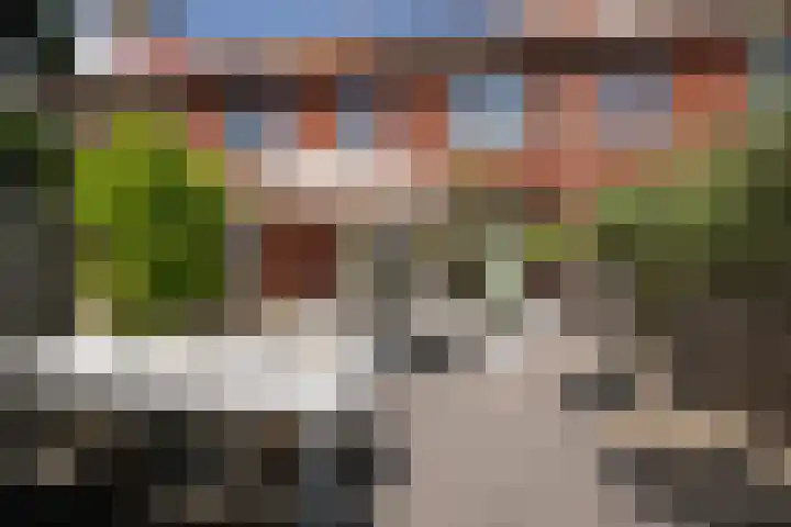 Citroenvlinder 35 's-Gravenzande thumbnail 14
