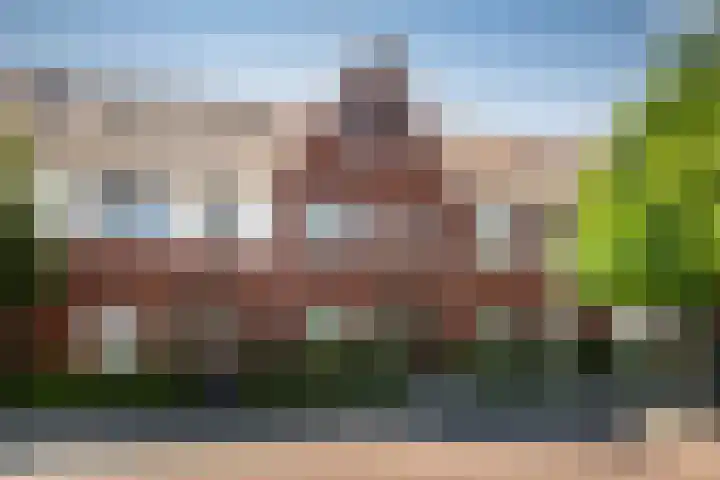 Citroenvlinder 35 's-Gravenzande thumbnail 33