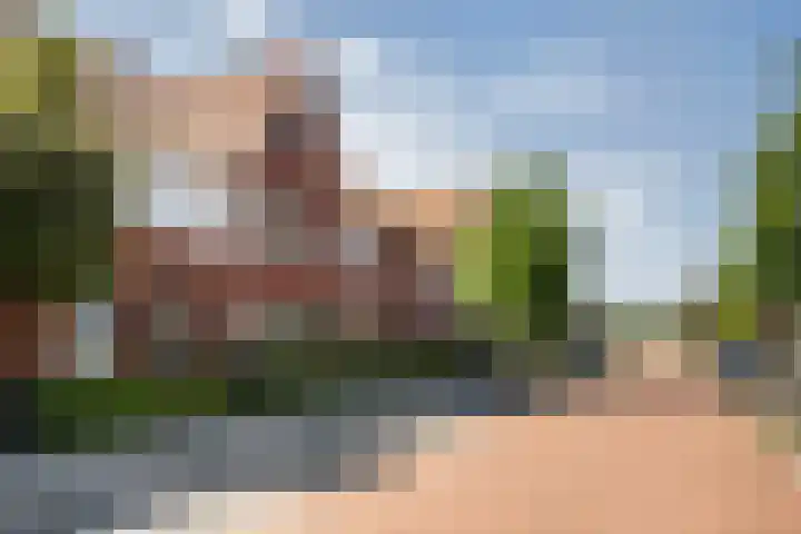 Citroenvlinder 35 's-Gravenzande thumbnail 34