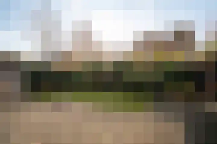 Citroenvlinder 36 Enschede thumbnail 33