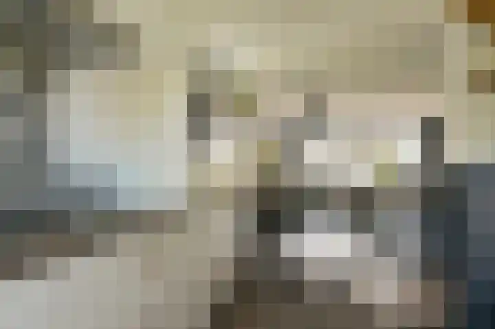 Citroenvlinder 43 Hoogeveen thumbnail 22