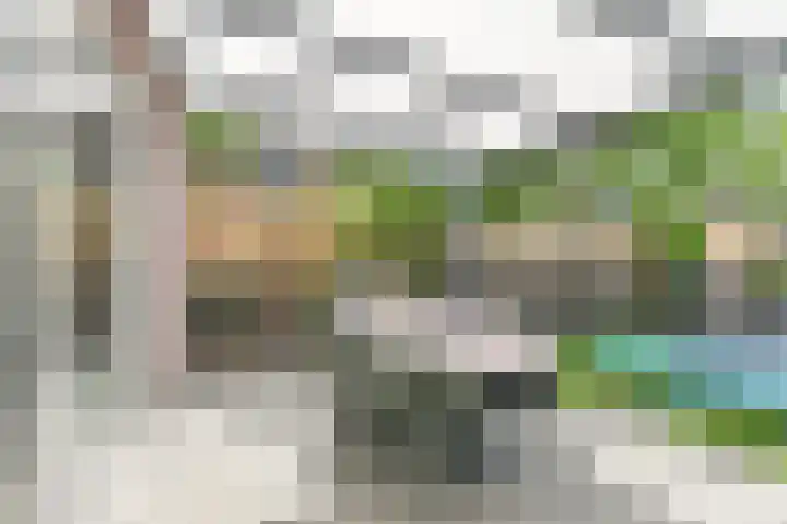 Citroenvlinder 43 Hoogeveen thumbnail 42