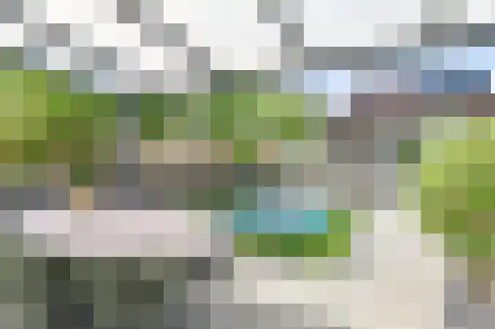 Citroenvlinder 43 Hoogeveen thumbnail 43