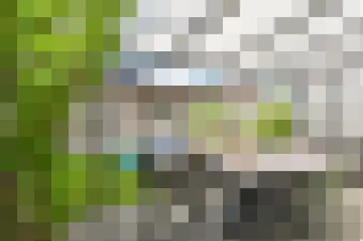 Citroenvlinder 43 Hoogeveen thumbnail 44