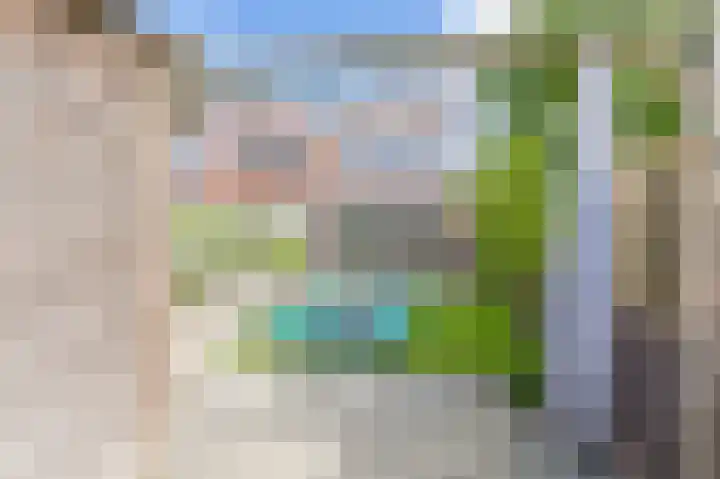 Citroenvlinder 43 Hoogeveen thumbnail 46