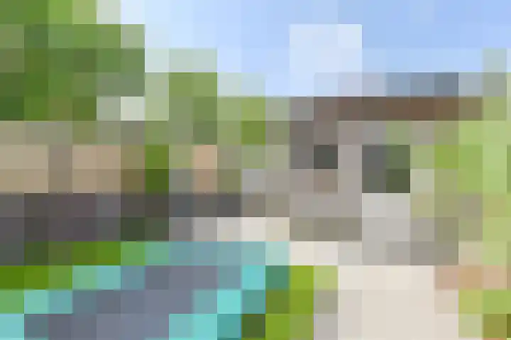 Citroenvlinder 43 Hoogeveen thumbnail 49