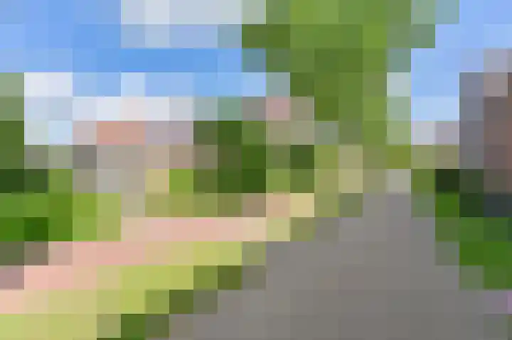Citroenvlinder 43 Hoogeveen thumbnail 50