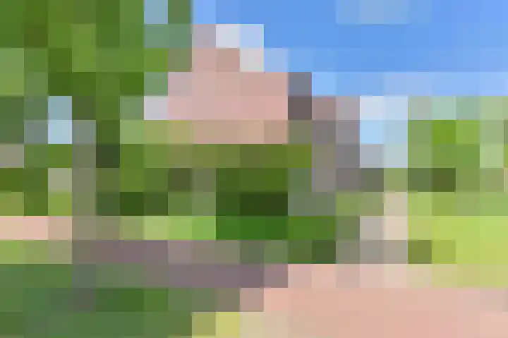 Citroenvlinder 43 Hoogeveen thumbnail 52