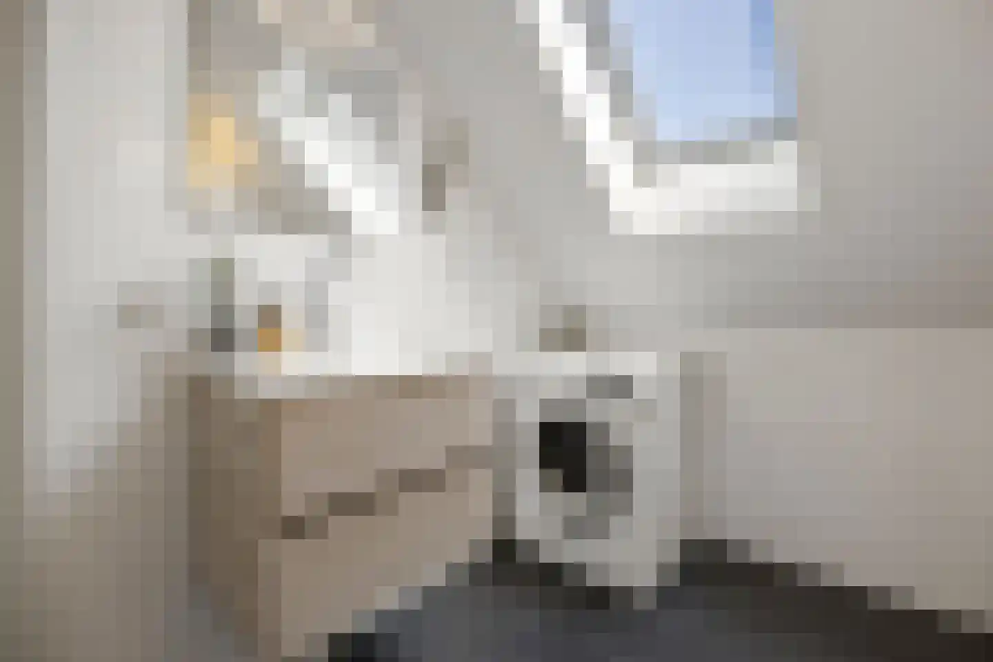 Citroenvlinder 48 Nijkerk thumbnail 18