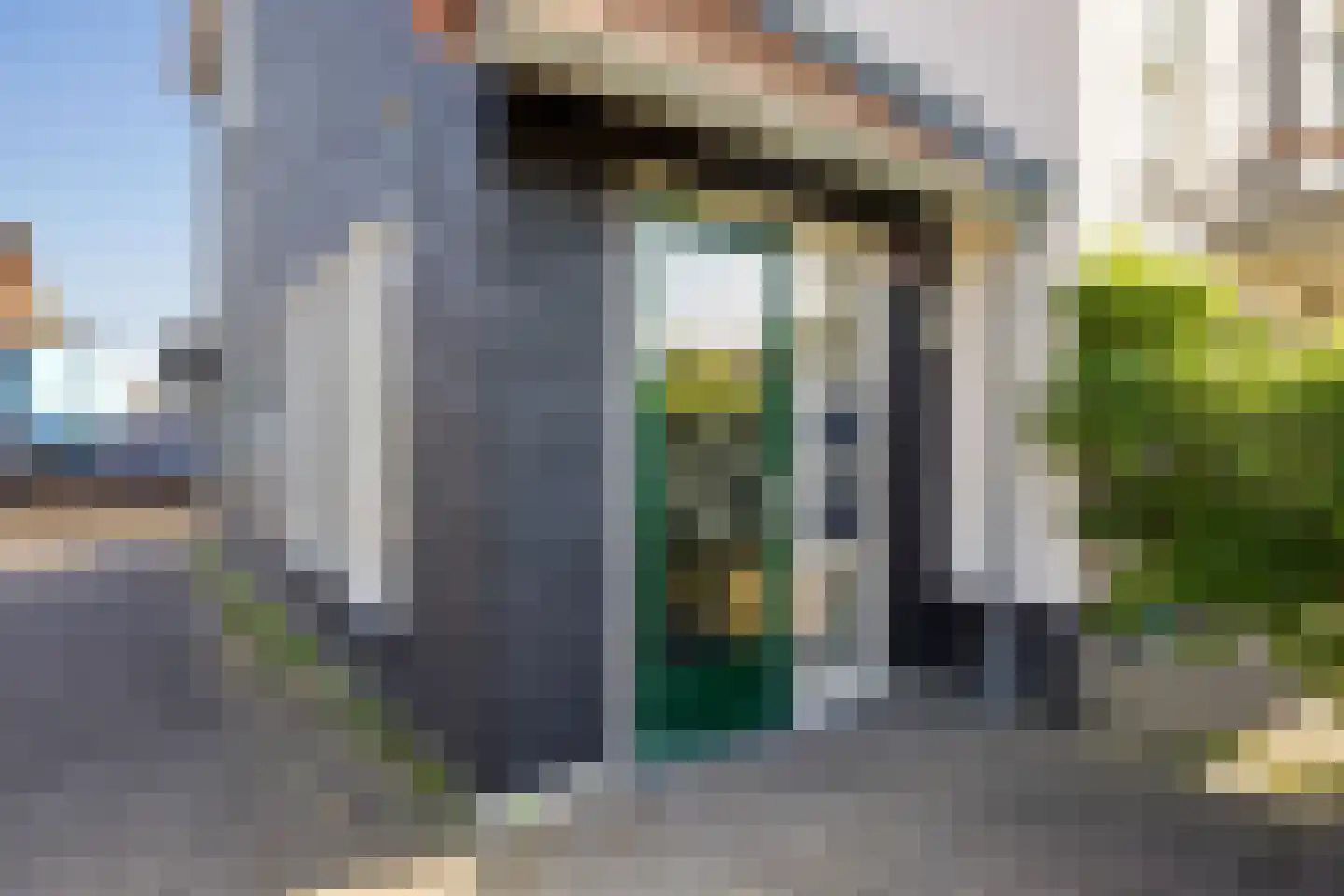 Citroenvlinder 48 Nijkerk thumbnail 21