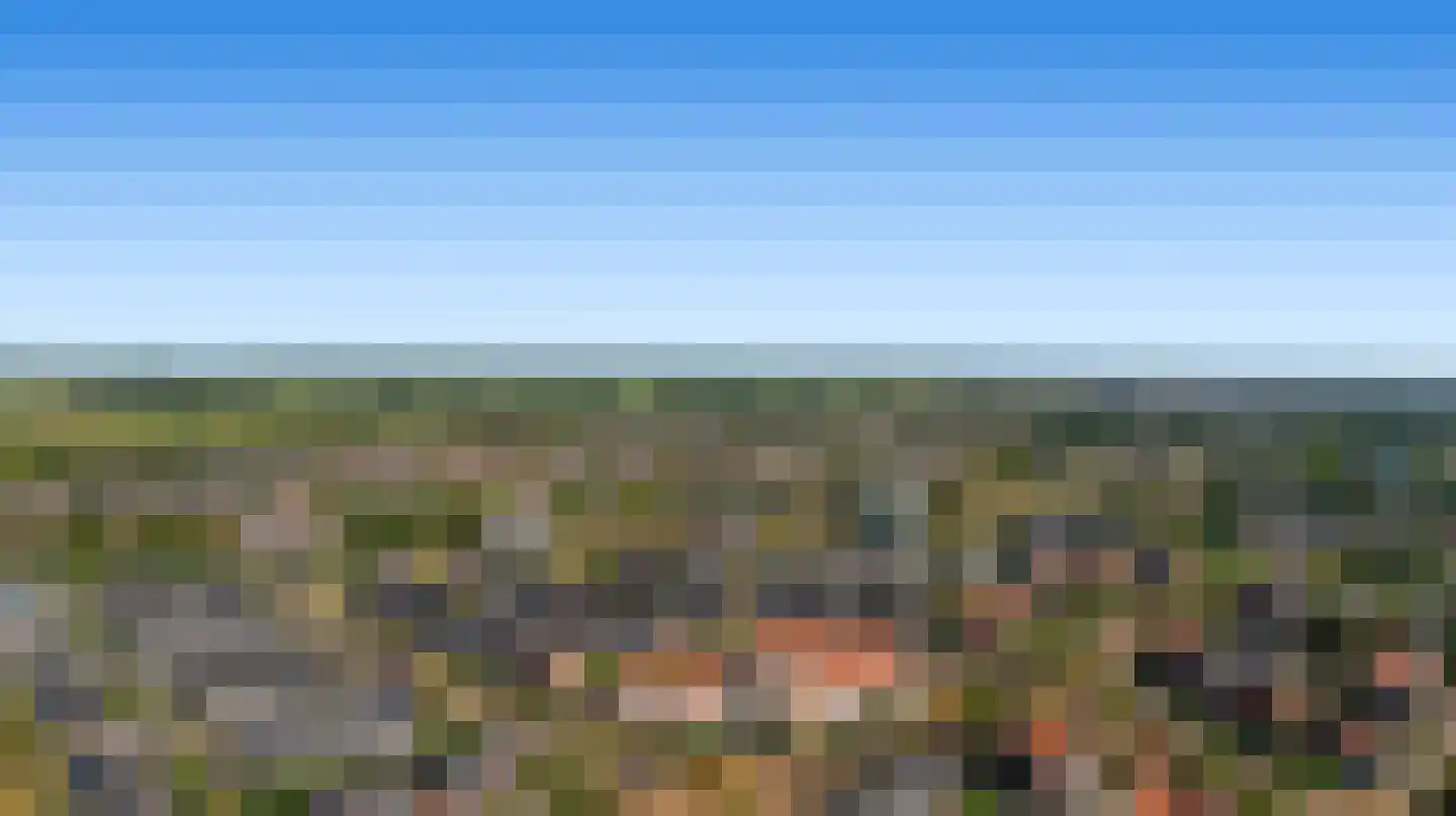 Citroenvlinder 48 Nijkerk thumbnail 4