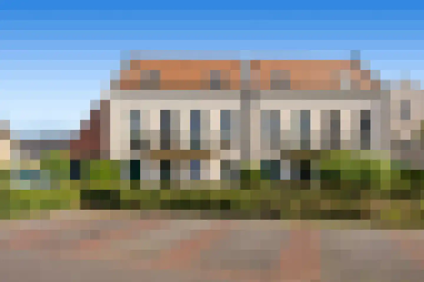 Citroenvlinder 48 Nijkerk thumbnail 5